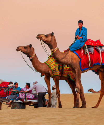 Desert Safari