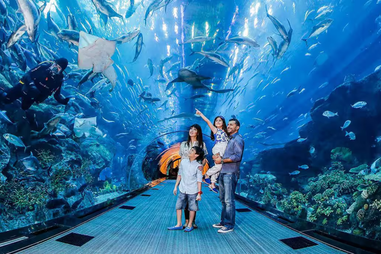 Dubai Aquarium and Underwater Zoo