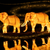 Dubai Glow Garden - Image 2