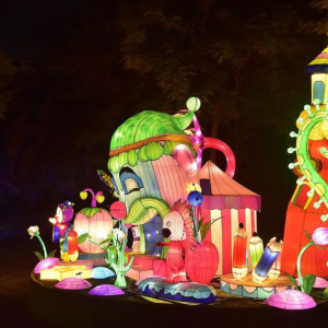 Dubai Glow Garden